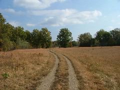 DSCF0633.JPG