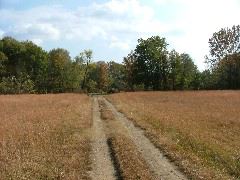 DSCF0636.JPG