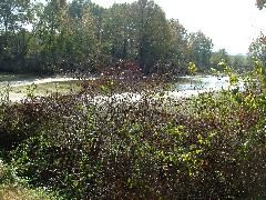 DSCF0638.JPG