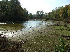 DSCF0639.JPG