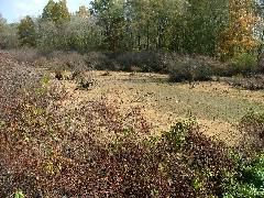 DSCF0640.JPG