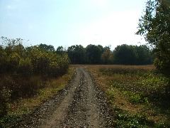 DSCF0641.JPG