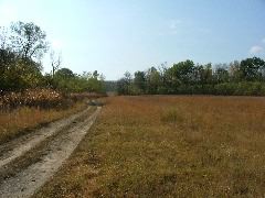 DSCF0643.JPG