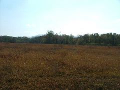 DSCF0644.JPG