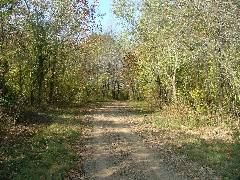 DSCF0647.JPG
