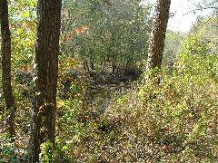 DSCF0648.JPG