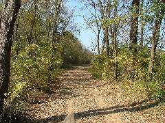 DSCF0649.JPG