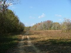 DSCF0650.JPG