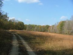 DSCF0651.JPG
