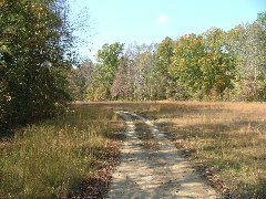 DSCF0652.JPG