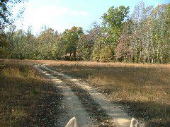 DSCF0653.JPG