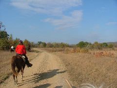 DSCF0582.JPG