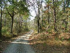 DSCF0655.JPG