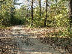 DSCF0657.JPG