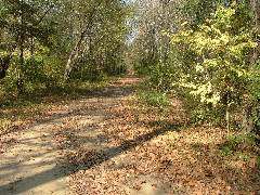 DSCF0658.JPG