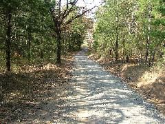 DSCF0661.JPG