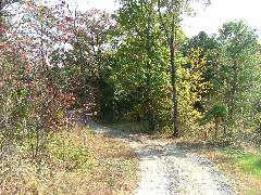 DSCF0664.JPG