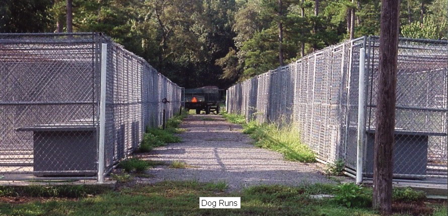 Dog runs