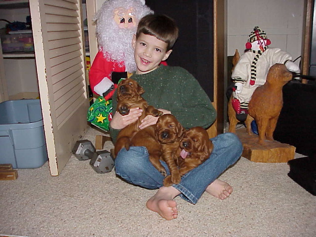21 Dec 2002 10:57  AM