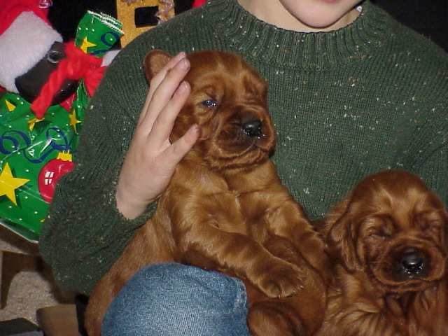 21 Dec 2002 10:58  AM