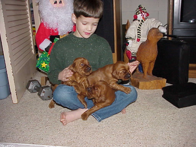 21 Dec 2002 10:58  AM
