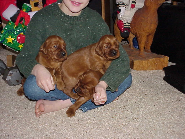 21 Dec 2002 10:58  AM