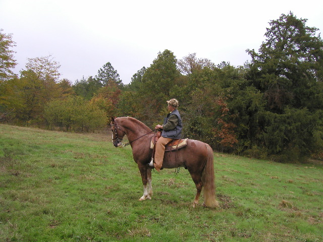 10/28/02 12:55  PM -  Ann Eichenberger and her Sunny