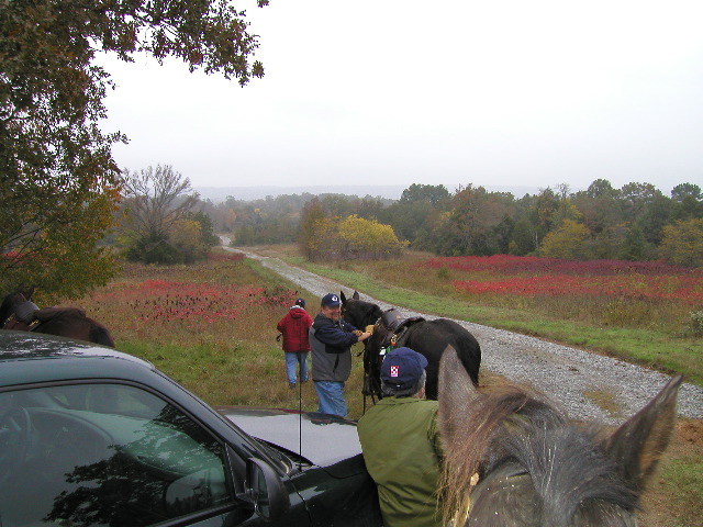 10/28/02 12:59  PM - Ken, "It's a great day to be trialing!"