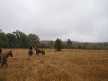 10/28/02 9:39  AM - D & S