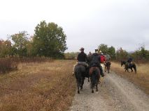 10/28/02 10:27  AM