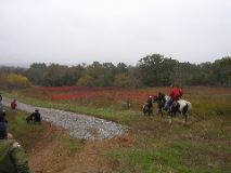 10/28/02 12:59  PM -  N. Ch. - Brace 4 - Sunny & Kicker