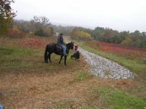 10/28/02 12:59  PM - Ken, Ron, & Sunny - all ready to go!