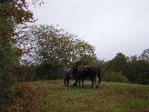 10/28/02 7:20  AM-  Lee & Tori