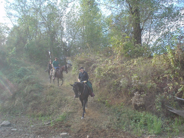DSC00384.JPG