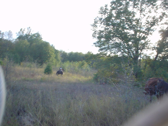 DSC00391.JPG