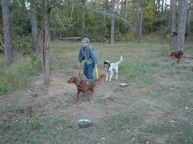 DSC00396.JPG