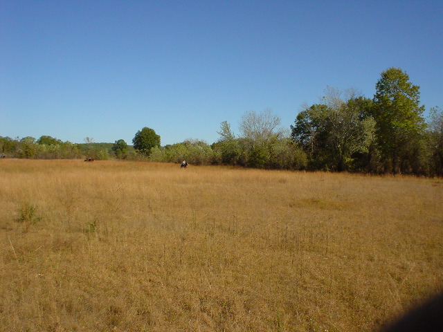 DSC00414.JPG