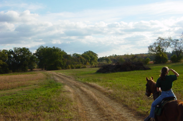 DSC00588.JPG