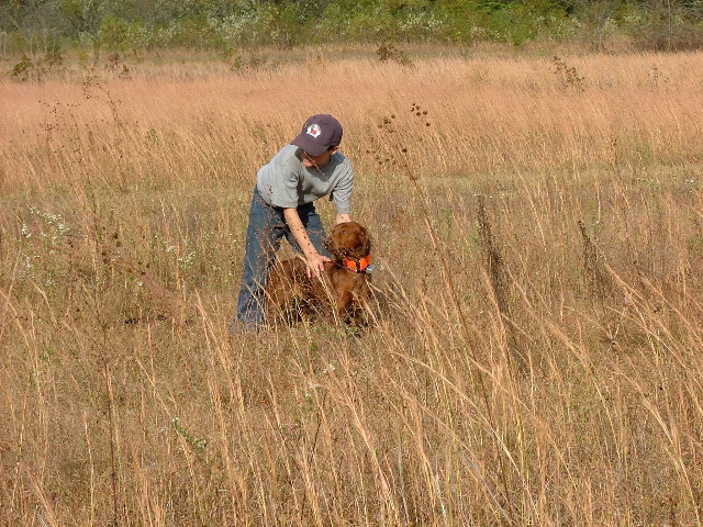 DSCF0282.JPG