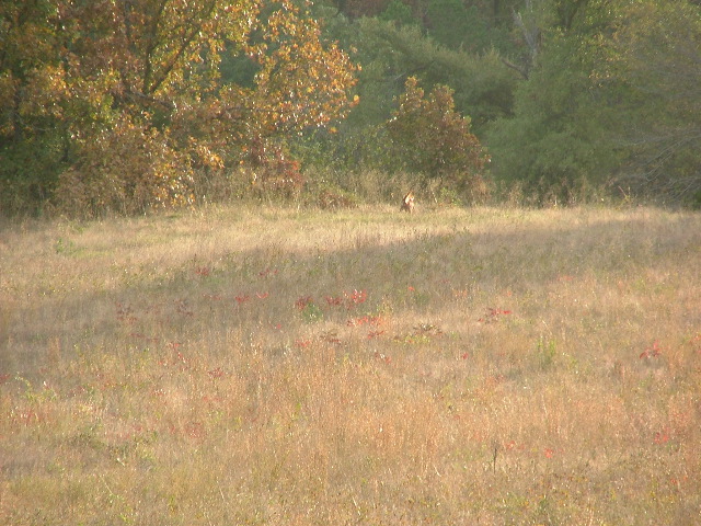 DSCF0288.JPG