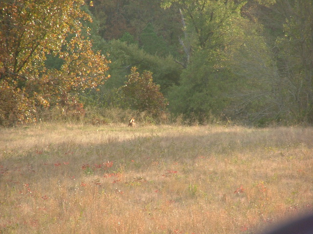 DSCF0289.JPG