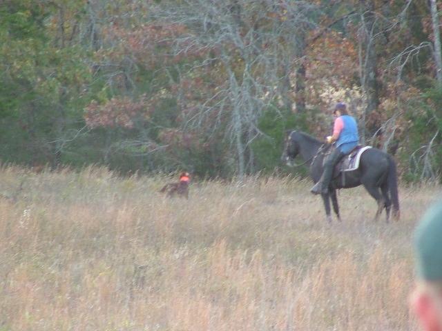 DSCF0299.JPG