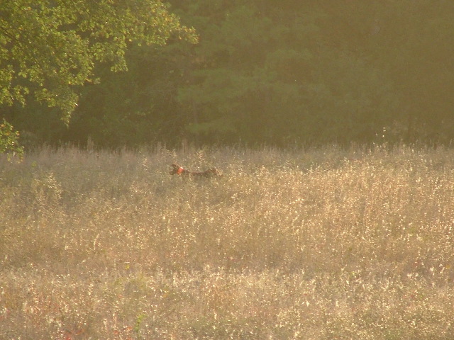 DSCF0300.JPG