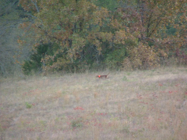 DSCF0304.JPG
