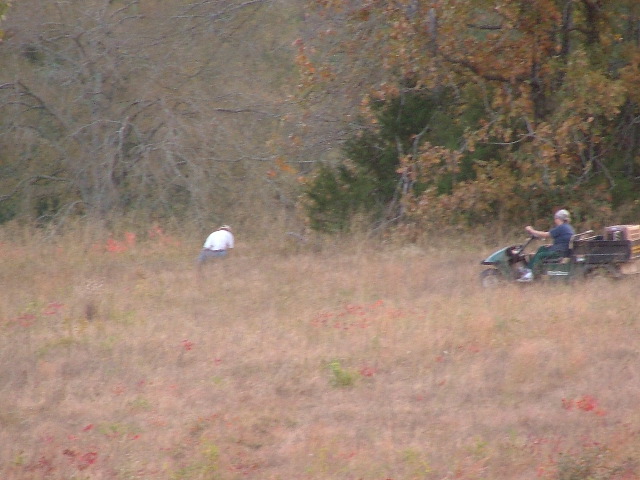 DSCF0312.JPG