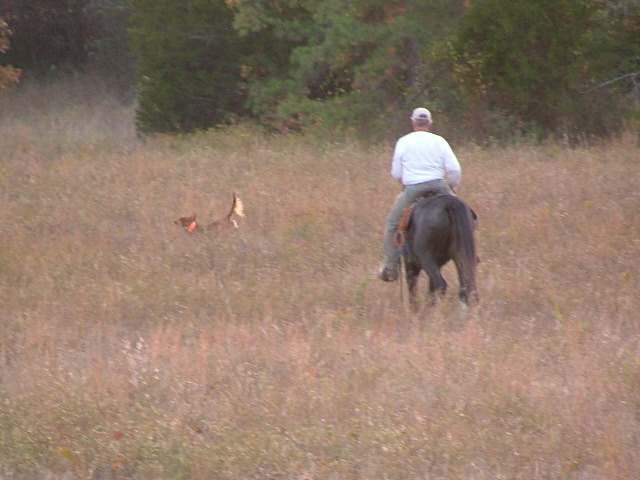 DSCF0315.JPG