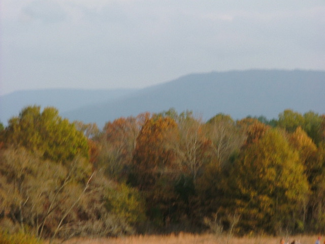 DSCF0413.JPG