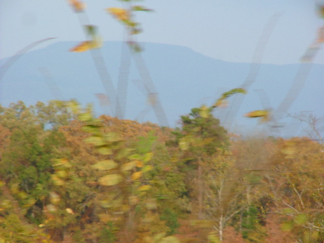 DSCF0414.JPG