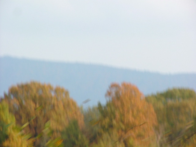 DSCF0415.JPG