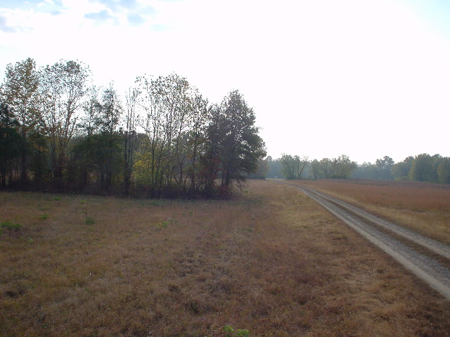 DSC00501.JPG